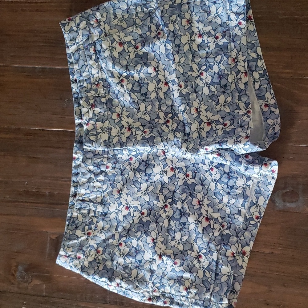 American Eagle shorts size 14